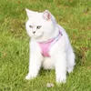Hundegeschirr Leine Set Reflektierende Atmungsaktive Mesh Produktbild-Vorschau 7
