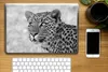 MuchoWow® Laptop Aufkleber Sticker Cover Porträtfoto - Produktbild-Vorschau 2