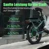 20 Ah, 20-palcový mestský skladací elektrobicykel, pedelec Náhľad obrázku produktu 13