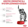 Royal Canin Kitten Sterilised, Kocięta, Drób, 3,5 kg Podgląd zdjęcia produktu 6