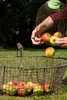 FRAISEUSE D'AMIS Noix et 68090 Voir les images du produit 5