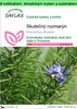 SAFLAX Garden to go - Skutečný rozmarýn - Rosmarinus Náhled obrázku produktu 1