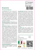 SAFLAX Garden to go - Bergamotto - 20 semi - Monarda Anteprima dell’immagine prodotto 3