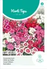 Artikelbild 2 von 'Bartnelken Wee Willie Mischung' aus der Kategorie Wildblumensamen Produktbild-Vorschau