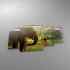 Bild auf Leinwand - Leinwandbild - Elefant Tier - 160x90cm Produktbild-Vorschau 2