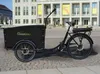 SachsenRAD E-Lastenrad T1, Flexible Transportbox mit Produktbild-Vorschau 7