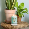 Yankee Candle Aloe & Agave 567 g Podgląd zdjęcia produktu 2