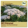 Samenliebe  Kümmel Samen | Küchenkraut - winterhart & Produktbild-Vorschau 1