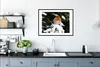 MuchoWow® Gerahmtes Poster Rotkehlchen - Baum - Schnee Produktbild-Vorschau 4