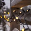 Close-up of outdoor Christmas lights on a wooden fence in winter. Produktbild-Vorschau