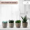 Künstliche Pflanzen Mini 4er Set Dekoration Kunstpflanzen Produktbild-Vorschau 5