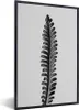 MuchoWow® MuchoWow® Gerahmtes Poster Abstraktes Blatt in Produktbild-Vorschau 1