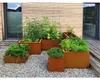 Palatino Pflanzgefäß Garten Dekoration Lotte Cortenstahl Produktbild-Vorschau 7