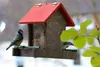 dobar Vogelhaus mit Acrylglas-Futtersilo, Futterstation zum Produktbild-Vorschau 2