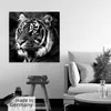 ARTland Poster Tiger Größe: 30x30 cm Produktbild-Vorschau 5