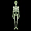 Skelett 150 cm | Halloween-Deko Produktbild-Vorschau 5