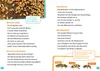 WAS IST WAS Erstes Lesen. Bienen Produktbild-Vorschau 3