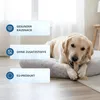 2kg Kaninchenohren mit Fell Hundesnack Hundefutter Kausnack Produktbild-Vorschau 4