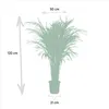 Goldfruchtpalme Areca – Zimmerpflanze Ø21cm – 110cm hoch – Produktbild-Vorschau 4
