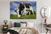 MuchoWow® Poster Kuh - Schwarz - Weiß - Lebensmittel Produktbild-Vorschau 5