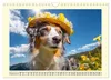 Australian Shepherd. Wanderfreude auf Pfoten im Bergsommer Produktbild-Vorschau 11
