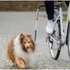 TRIXIE Biker-Set Fahrradhalterung für Hunde mit Produktbild-Vorschau 1