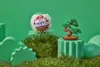 Mini Marchi giardino botanico assortiti Anteprima dell’immagine prodotto 2