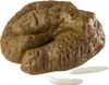 Slimy Kackhaufen als Scherzartikel 10 x 8cm Produktbild-Vorschau 1