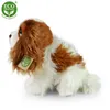 Peluche King Charles Spaniel 25 Cm Ecologico Anteprima dell’immagine prodotto 10