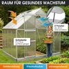 BRAST Gewächshaus Aluminium mit Fundament | 250x250x205cm | Produktbild-Vorschau 7
