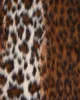 BELIANI Leopardí koberec, hnědá Umělá kožešina, obývací Náhled obrázku produktu 6