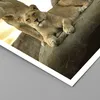 Poster - Poster ohne Rahmen - Löwen Sonnenuntergang Felsen Produktbild-Vorschau 2