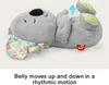 Mattel Fisher-Price Schlummer-Koala, Kuscheltier, mit Anteprima dell’immagine prodotto 21