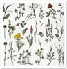 Scrapbooking-Papier Set 30×30 cm – SLS-035 Herbarium – ITD Produktbild-Vorschau 6