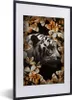 MuchoWow® MuchoWow® Gerahmtes Poster Tiger - Zebra - Produktbild-Vorschau 1