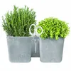 Two herb planters with rosemary and thyme, with a pair of scissors attached to the front. Náhled obrázku produktu