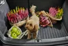 FROGUM rubberen bagagemat voor Audi A6 C8, vanaf 2018 Productafbeelding-voorbeeld 6