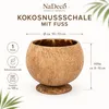 Kokosnuss Cocktail Becher mit Fuß Ø 10-13cm Tiki Hawaii Produktbild-Vorschau 2