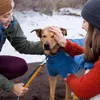 Ruffwear Climate ChangerTM Fleece Jacket, Farbe:Blue Jay, Produktbild-Vorschau 17