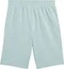 Puma Essentials 2 Color No. 1 Logo Short Herren Produktbild-Vorschau 5