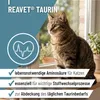 REAVET Taurin für Katzen 100g – Unterstützung des Produktbild-Vorschau 2