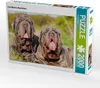 CALVENDO Puzzle Zwei Mastino Napoletano 2000 Teile Puzzle Produktbild-Vorschau 1