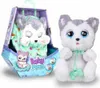 A plush toy dog in its packaging and next to its packaging. Produktbild-Vorschau