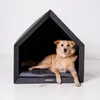 Rexproduct - PetHome 2.0 Hundehütte mit Liegefläche und Produktbild-Vorschau 4