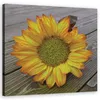 Leinwandbild Gelbe Sonnenblume 40x40 Feeby Gelb bild für Produktbild-Vorschau 1