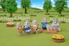 Sylvanian Families 5637, 3 lat(a), Wielobarwny, Polichlorek Podgląd zdjęcia produktu 28