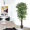 Ficus Benjamin breza figová umelá rastlina umelý strom Náhľad obrázku produktu 6