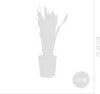 Bloomique - Lot de 2 - Sansevieria Laurentii - Langue de Voir les images du produit 7