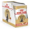 Royal Canin British Shorthair Adult, Adult, 85 g Produktbild-Vorschau 3