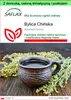SAFLAX - Garden to go - Bylica Chińska - 250 Nasiona - Z Podgląd zdjęcia produktu 1